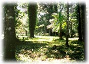 Finca en venta Manzanillo