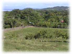 fincas de playa en costa rica