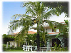 alquiler de condos
