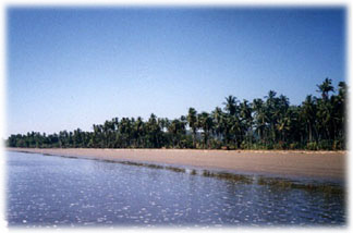 lote en playa tambor