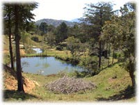 Costa Rica Farm for sale