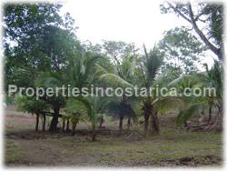 Guanacaste land, for sale, Santa Cruz for sale, large land, development, investment, 1623