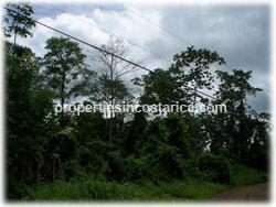 Farm for sale