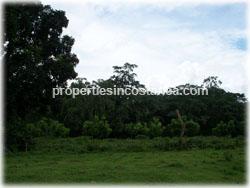 Farm for sale
