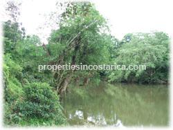 primary forest farm, Costa Rica rain forest