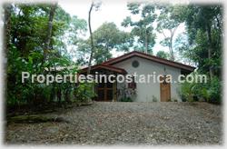 Dominical forest, rain forest, Dominical for sale, ecological, eco lodge property, investing opportunity, internet, nature, flora, fauna, animals, waterfall, creek, beach access, 1470
