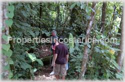 Dominical forest, rain forest, Dominical for sale, ecological, eco lodge property, investing opportunity, internet, nature, flora, fauna, animals, waterfall, creek, beach access, 1470