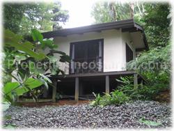 Asian home, Asian style, pool, exotic home, mystic home, nature, unique fauna, monkeys, toucans, luxury, Costa Rica South Pacific, uvita for sale, Asian design, 1616