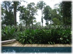 Asian home, Asian style, pool, exotic home, mystic home, nature, unique fauna, monkeys, toucans, luxury, Costa Rica South Pacific, uvita for sale, Asian design, 1616