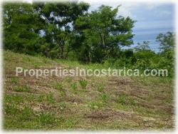 Costa Rican trees, possibilities, arge family house, health retreat, hotel, bungalows