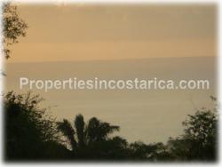 Costa Rican trees, possibilities, arge family house, health retreat, hotel, bungalows