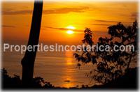 ocean view, a comfortable price, exotic and unique Costa Rica wildlife,