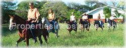 large, spacious, town houses, ideal, dream, pacific, gold coast, real estate, buy, Costa Rica