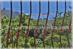 Dominical real estate, Dominical investments, opportunity, Dominical villas, swimming pool, ranch, marina, pacific ocean, fully furnished, appliances, nature, security, privacy, 1468