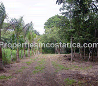 Luxurious 5 bedroom beach front property with pool for sale in Tamarindo