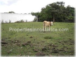 Cariari for sale, Cariari lot, golf course, Cariari land, Cariari real estate, investment, 1493