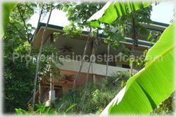 Dominical investment, property complex, B&B, bed and breakfast, investment potential, large property, fertile land, acres, furnished, for sale, large pool, internet, 1474