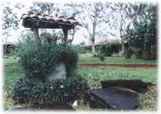Invest on an ecological paradise