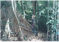 Invest on an ecological paradise