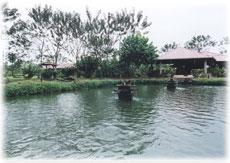 Invest on an ecological paradise