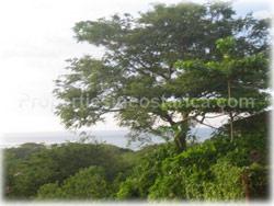 Tamarindo for sale, Tamarindo real estate, oceanview, pool, terrace, fuly furnished, 2 story, 1617