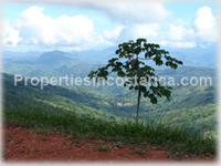 5 large acres of pure Costa Rica nature, wildlife and ocean-mountain views ready to be yours!