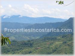ominical real estate, Dominical for sale, nature, ocean view, mountain view, flora, fauna, wildlife, acres, large, investment opportunity, 1477