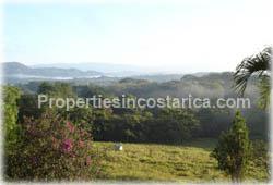 Equestrian property, horse stable, La Garita real estate, Alajuela real estate, Alajuela for sale, mountain