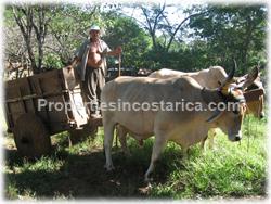 Guanacaste farm for sale, Guanacaste house for sale, Santa Cruz real estate,