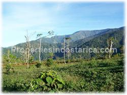 Puntarenas mountain, mountain for sale, mountain land, development, investment, 1595