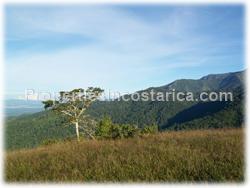 Puntarenas mountain, mountain for sale, mountain land, development, investment, 1595