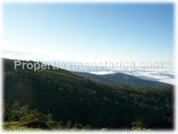 Puntarenas mountain, mountain for sale, mountain land, development, investment, 1595