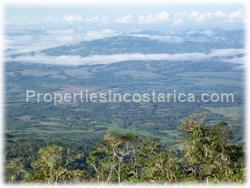 Puntarenas mountain, mountain for sale, mountain land, development, investment, 1595