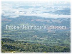 Puntarenas mountain, mountain for sale, mountain land, development, investment, 1595