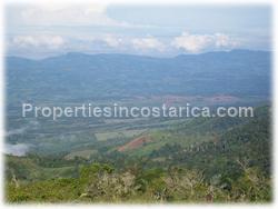 Puntarenas mountain, mountain for sale, mountain land, development, investment, 1595