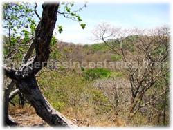 Tamarindo land, for sale, oceanview, mountain view, hills, creek, nature, animals, trees, tamarindo downtown, beach, 1580