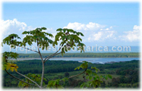 Arrive and conquer this fantastic Costa Rica estate at Dominical in the province of Puntarenas a MUST for surfers and travellers, the area is full of life, exotic wildlife