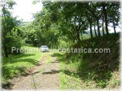 Tambor lot, Tambor land, for sale, cheap, affordable, airport, close, center, Tambor, Tambor for sale, 1566