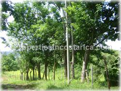 Tambor lot, Tambor land, for sale, cheap, affordable, airport, close, center, Tambor, Tambor for sale, 1566