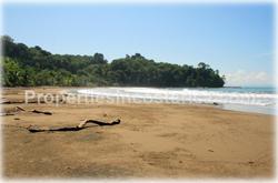 Costa Rica beach for sale, land for sale, South Pacific real estate, Puntarenas best, Puntarenas real estate, investment opportunity, fire sale, price upon request, whales, dolphins, parrots, wildlife, flora, fauna, unique, beachfront, airport, town, 25