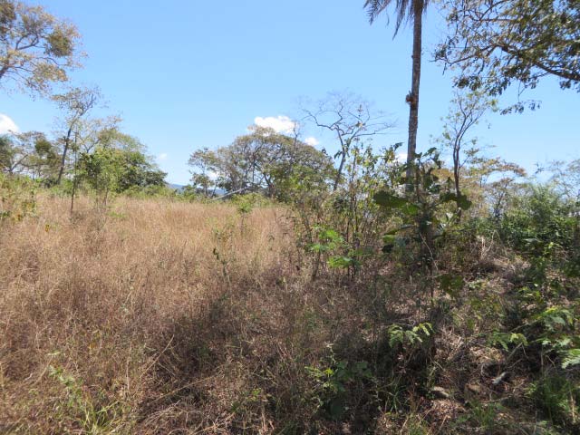 Amazing 3 hectare plot of land with ocean views inside a development ...